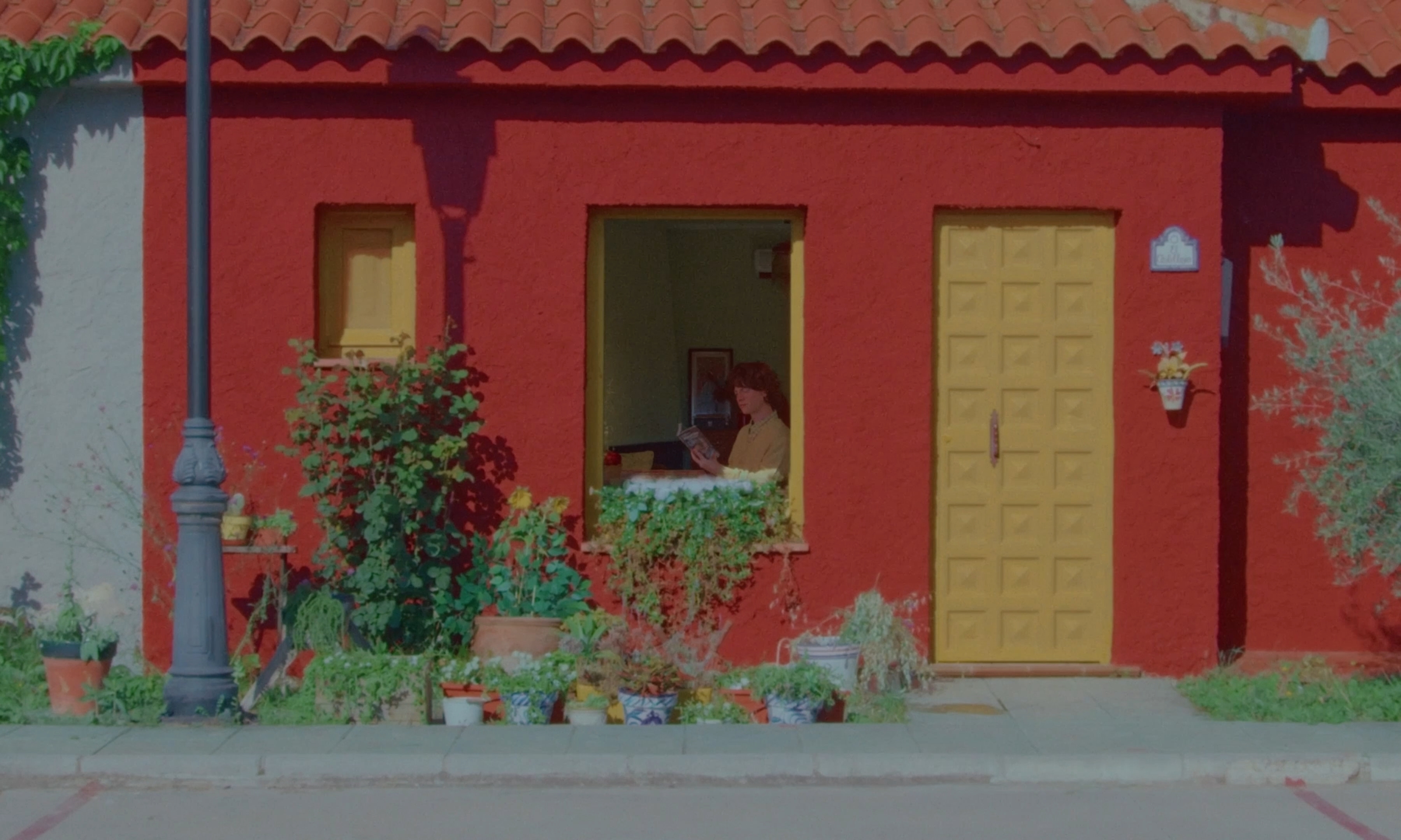 Curiosity Killed the Cat Still 2